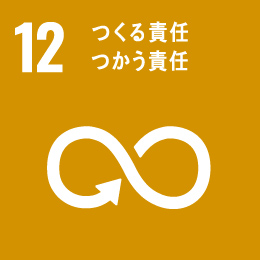 12. Responsible Consumption and Production