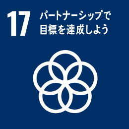 17. Partnerships for the Goals
