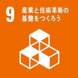 9. Industry, Innovation and Infrastructure