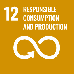12.Responsible Consumption and Production