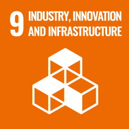 9.Industry, Innovation and Infrastructure