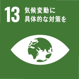 13.採取具體行動應對氣候變遷